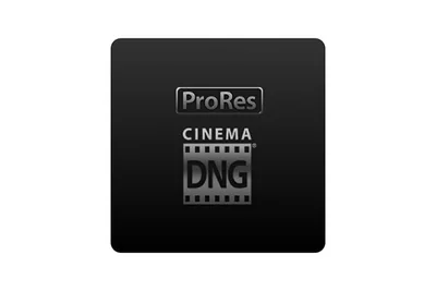 Лицензионные ключи DJI
