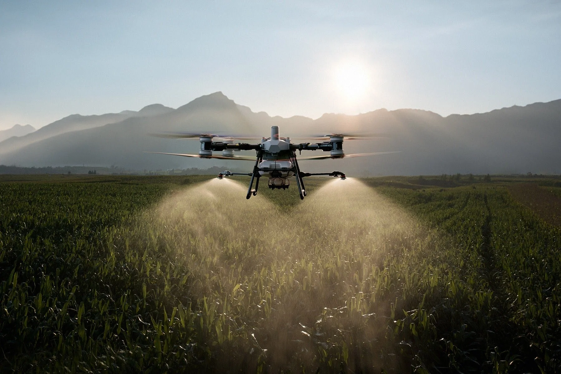 Сельскохозяйственный дрон DJI Agras T100 выполняет опрыскивание посевов на поле