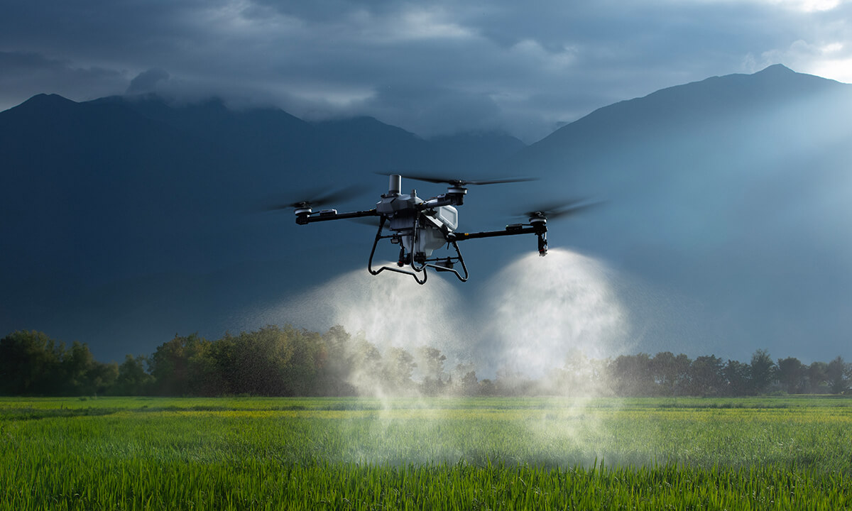 Сельскохозяйственный дрон DJI Agras T100 выполняет опрыскивание посевов на поле